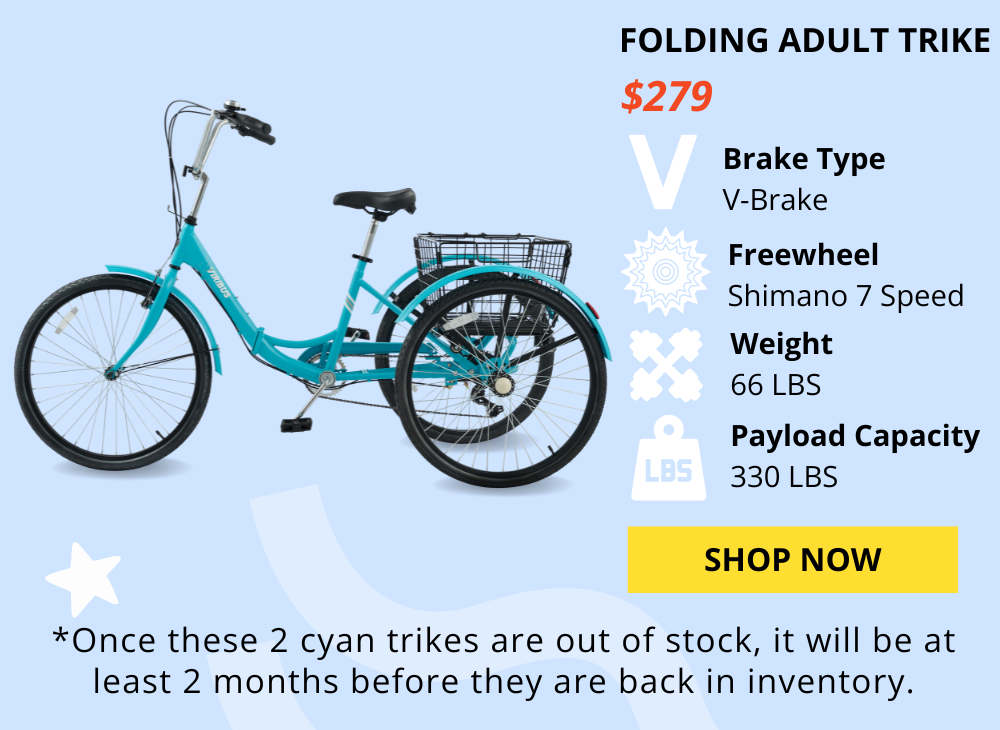 Viribus Bikes - VB1 Classic Adult Tricycle