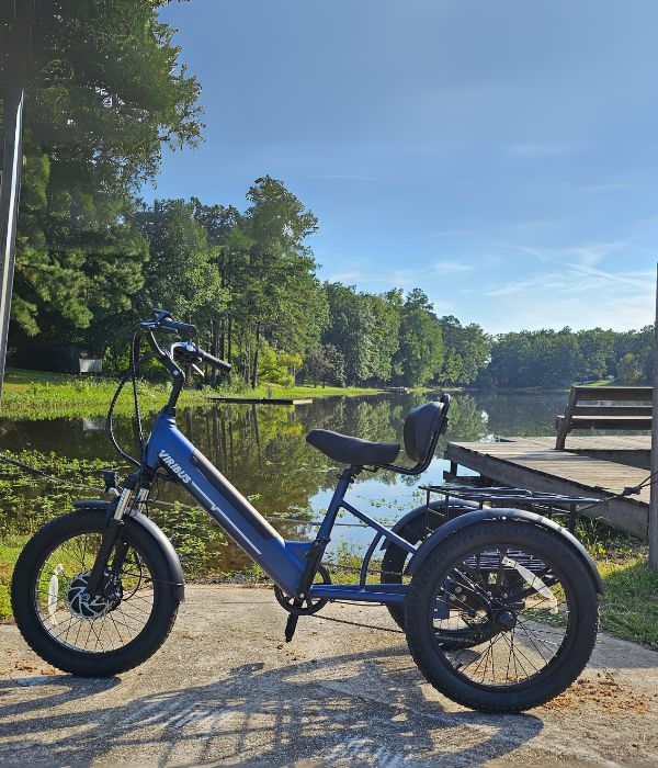 Viribus SC5 Fat Tire Electric Tricycle
