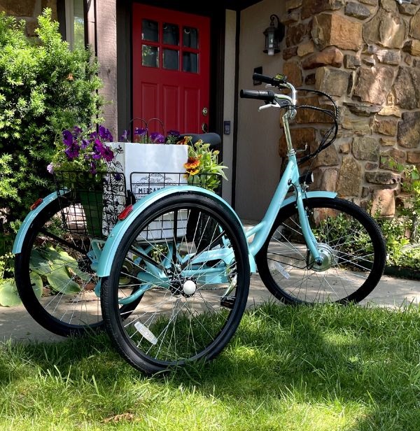 Viribus TG1 Electric Tricycle UL 2271 Certified